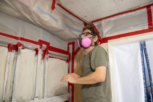 Best Mold Odor Removal Services  in , IN